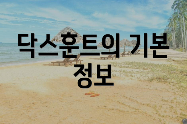 닥스훈트의 기본 정보