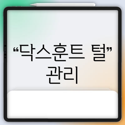 닥스훈트 털 관리
