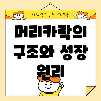 머리카락의 구조와 성장 원리