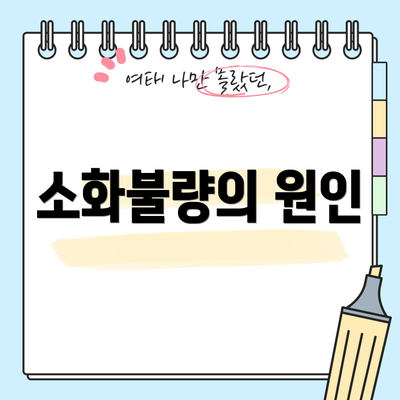 소화불량의 원인