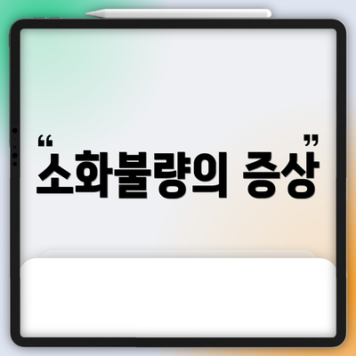 소화불량의 증상