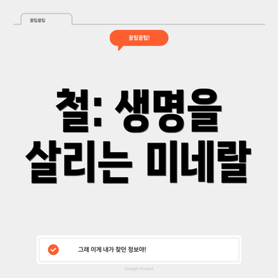 철: 생명을 살리는 미네랄