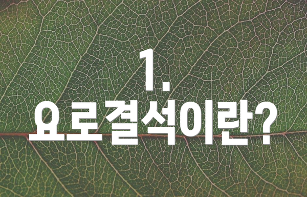 1. 요로결석이란?