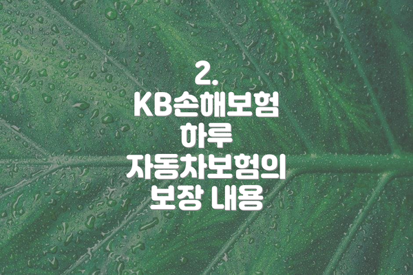 2. KB손해보험 하루 자동차보험의 보장 내용
