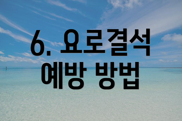 6. 요로결석 예방 방법