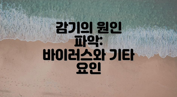 감기의 원인 파악: 바이러스와 기타 요인