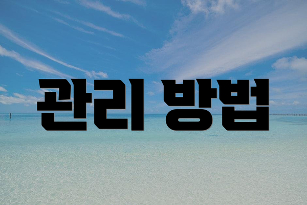 관리 방법