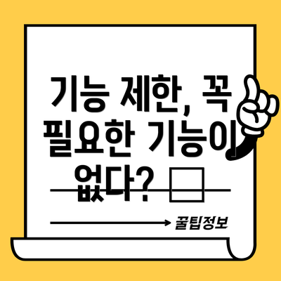 기능 제한, 꼭 필요한 기능이 없다? 🤔