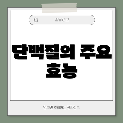 단백질의 주요 효능