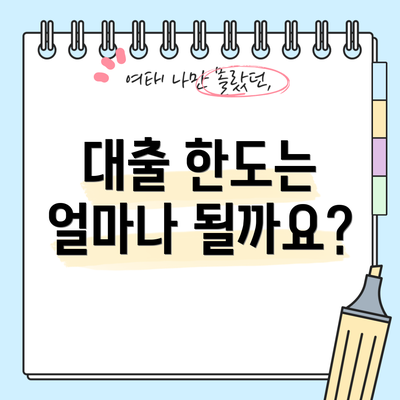 대출 한도는 얼마나 될까요?