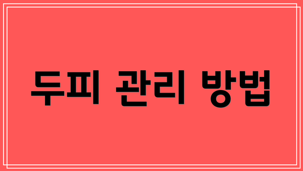 두피 관리 방법