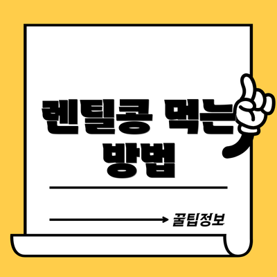 렌틸콩 먹는 방법