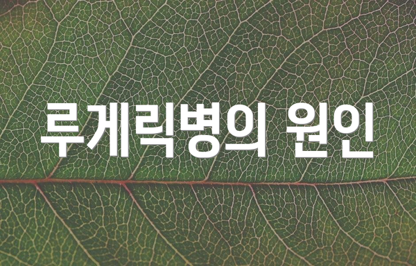 루게릭병의 원인