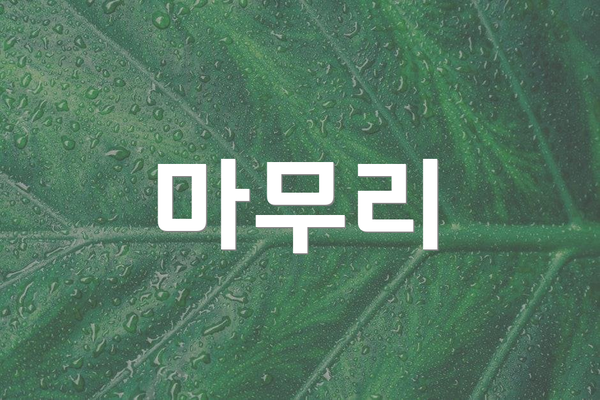 마무리
