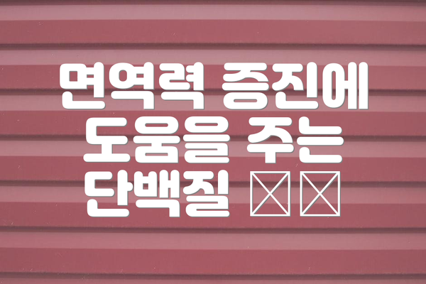면역력 증진에 도움을 주는 단백질 🍗🥚