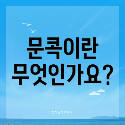 문콕이란 무엇인가요?
