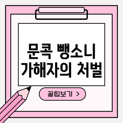 문콕 뺑소니 가해자의 처벌