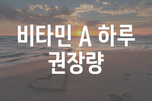 비타민 A 하루 권장량