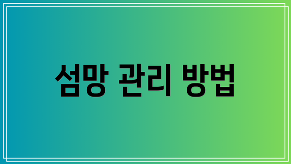 섬망 관리 방법