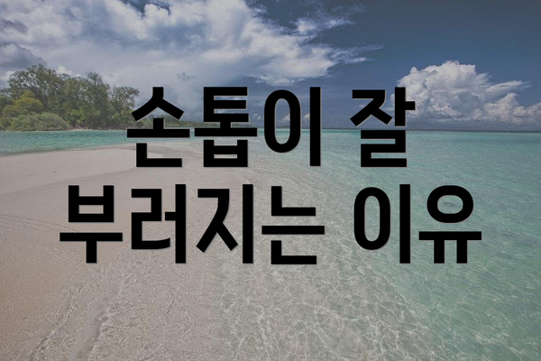 손톱이 잘 부러지는 이유