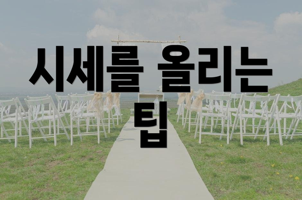 시세를 올리는 팁