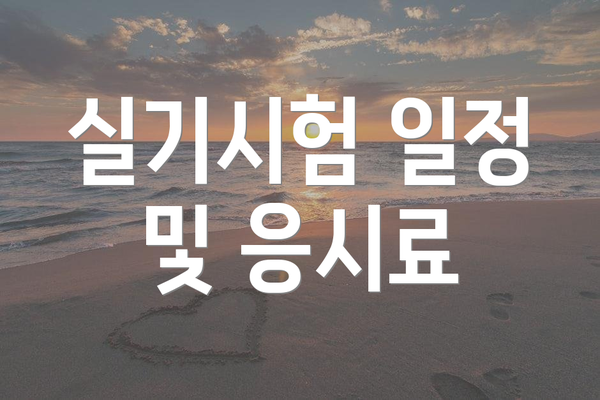 실기시험 일정 및 응시료