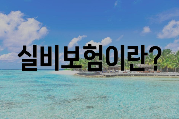 실비보험이란?