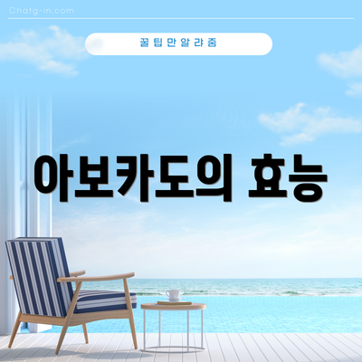 아보카도의 효능