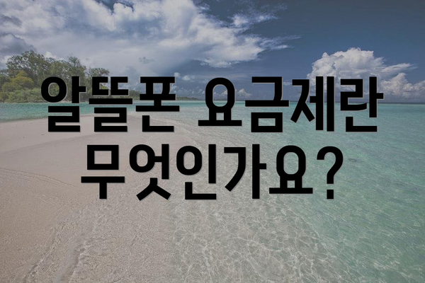 알뜰폰 요금제란 무엇인가요?