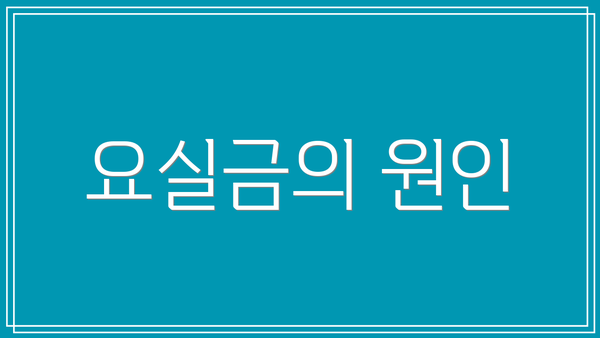 요실금의 원인