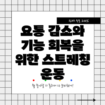 요통 감소와 기능 회복을 위한 스트레칭 운동