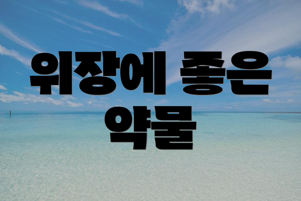 위장에 좋은 약물