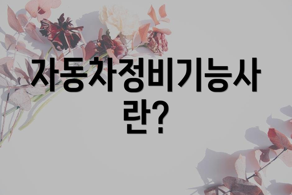 자동차정비기능사란?