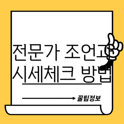전문가 조언과 시세체크 방법