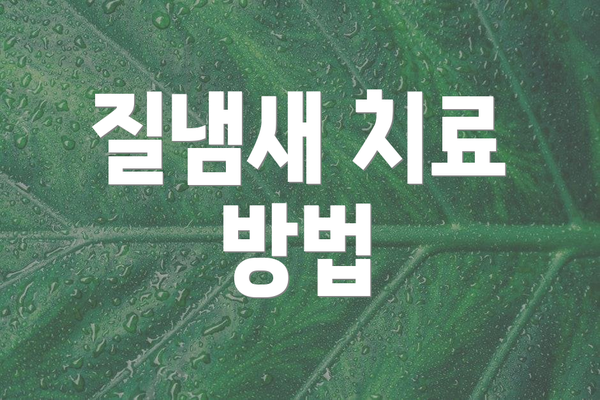 질냄새 치료 방법