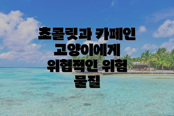 초콜릿과 카페인 고양이에게 위협적인 위험 물질