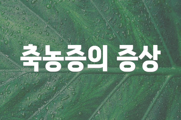 축농증의 증상