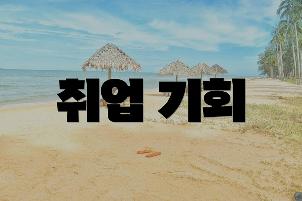 취업 기회