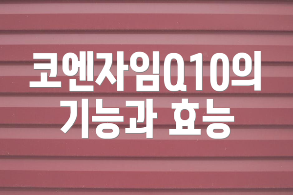 코엔자임Q10의 기능과 효능