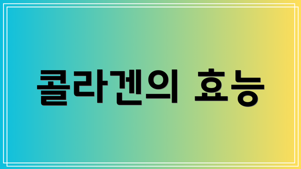 콜라겐의 효능