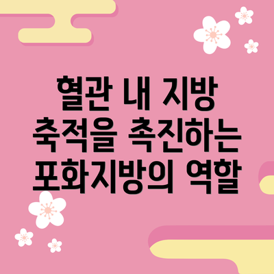 혈관 내 지방 축적을 촉진하는 포화지방의 역할