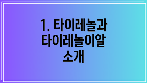 1. 타이레놀과 타이레놀이알 소개
