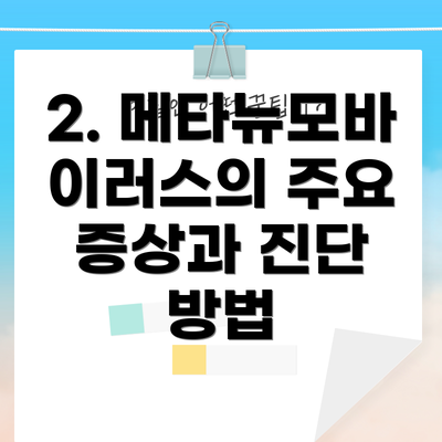 2. 메타뉴모바이러스의 주요 증상과 진단 방법