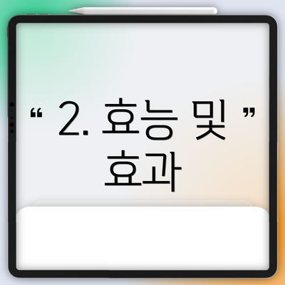 2. 효능 및 효과