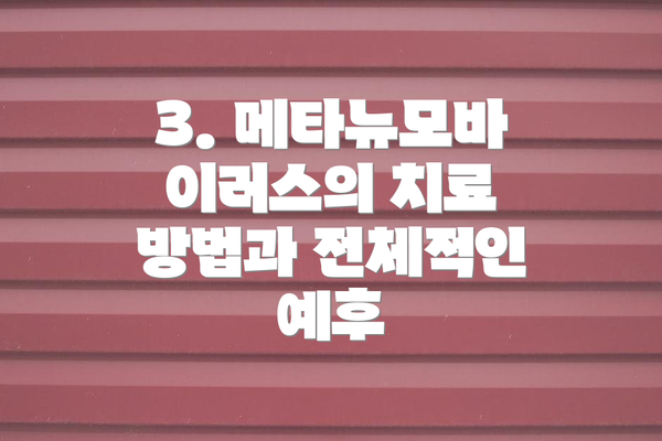 3. 메타뉴모바이러스의 치료 방법과 전체적인 예후