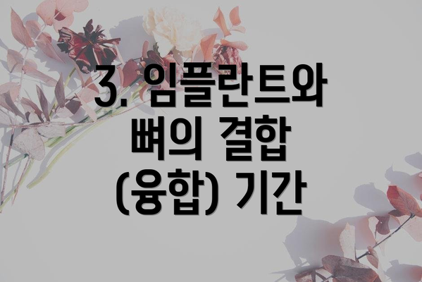 3. 임플란트와 뼈의 결합 (융합) 기간