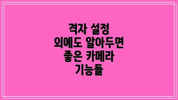 격자 설정 외에도 알아두면 좋은 카메라 기능들