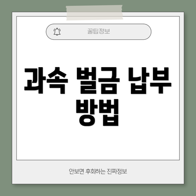 과속 벌금 납부 방법