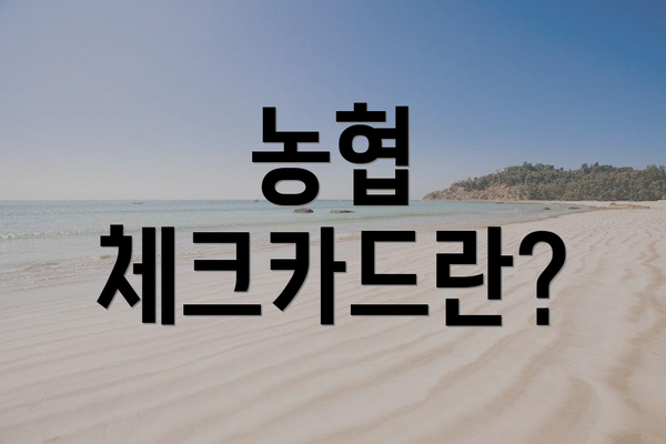 농협 체크카드란?