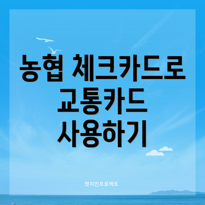 농협 체크카드로 교통카드 사용하기